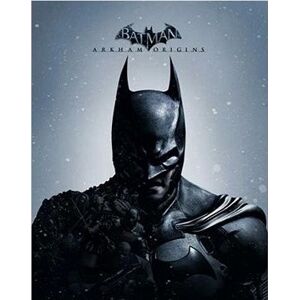 Batman: Arkham Origins – PC DIGITAL